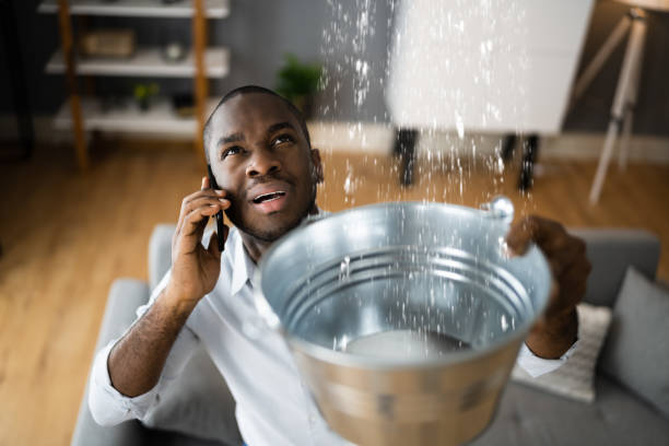 Trusted Bryant, WA Water damage restoration Experts