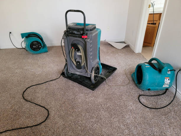 Best Emergency water extraction  in Bryant, WA
