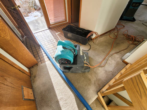 Best Basement water damage restoration  in Bryant, WA