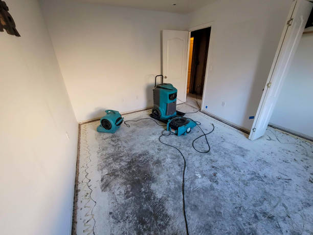 Best 24/7 water damage repair  in Bryant, WA