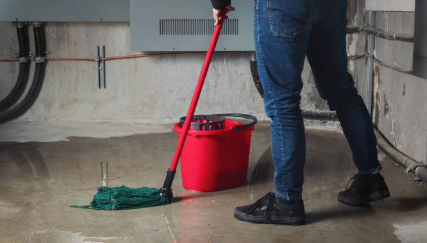 Best Water damage restoration near me  in Bryant, WA