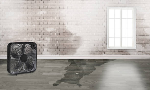 Best Commercial water damage restoration  in Bryant, WA