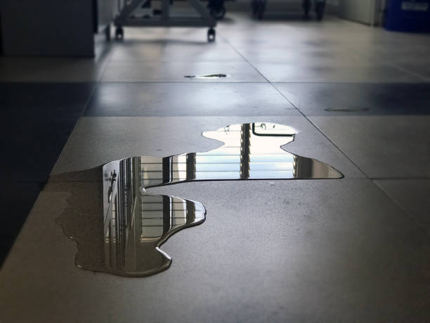 Water damage restoration experts in Bryant, WA