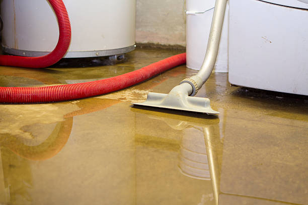 Best Sewage cleanup and water damage restoration  in Bryant, WA
