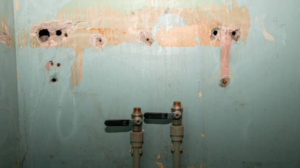 Best Water damage cleanup near me  in Bryant, WA