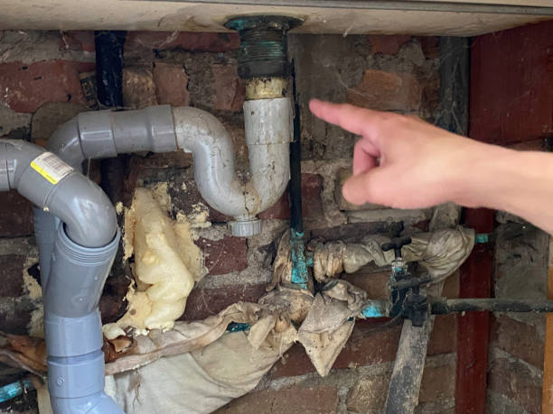 Best Water damage restoration experts  in Bryant, WA